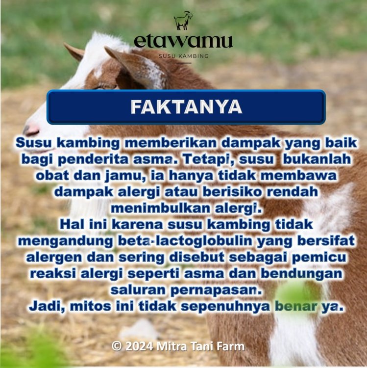 Susu Kambing Etawamu (18).jpg