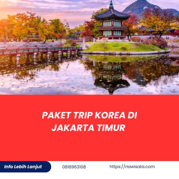 WhatsApp Image 2024-11-11 at 11.02.38.jpeg