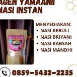 Berasinstan Yamaanii