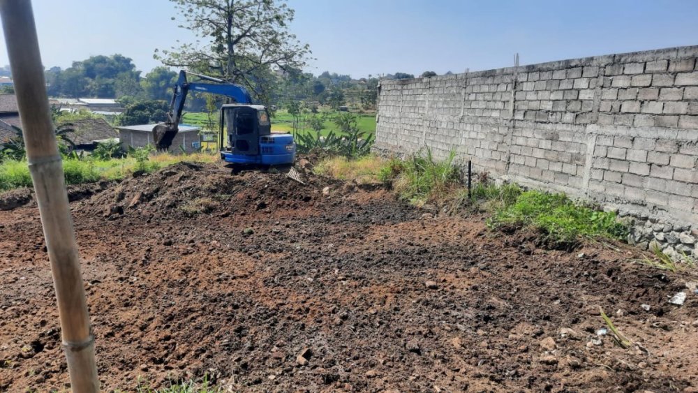 WhatsApp Image 2025-02-20 at 14.04.09.jpeg