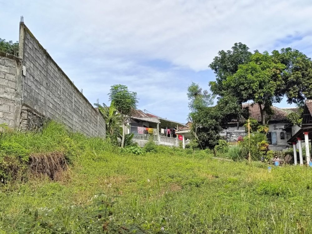 WhatsApp Image 2025-02-22 at 12.43.10.jpeg