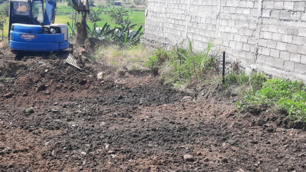 WhatsApp Image 2025-02-20 at 14.04.11.jpeg