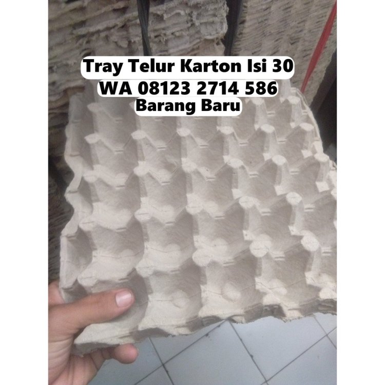 egg tray telur karpet telur tatakan telur krat telur baki telur nampan telur papan telur rak telur karton ayam bebek (1).jpeg