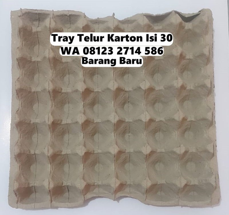 egg tray telur karpet telur tatakan telur krat telur baki telur nampan telur papan telur rak telur karton ayam bebek (2).jpg
