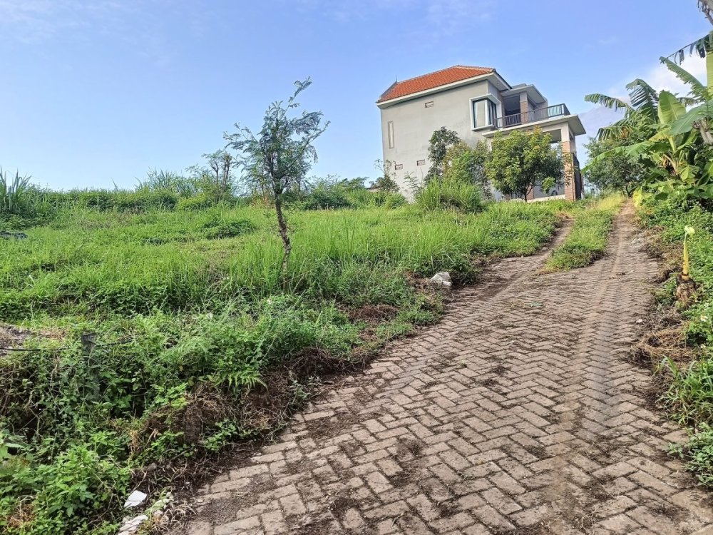 WhatsApp Image 2024-05-06 at 06.56.28.jpeg