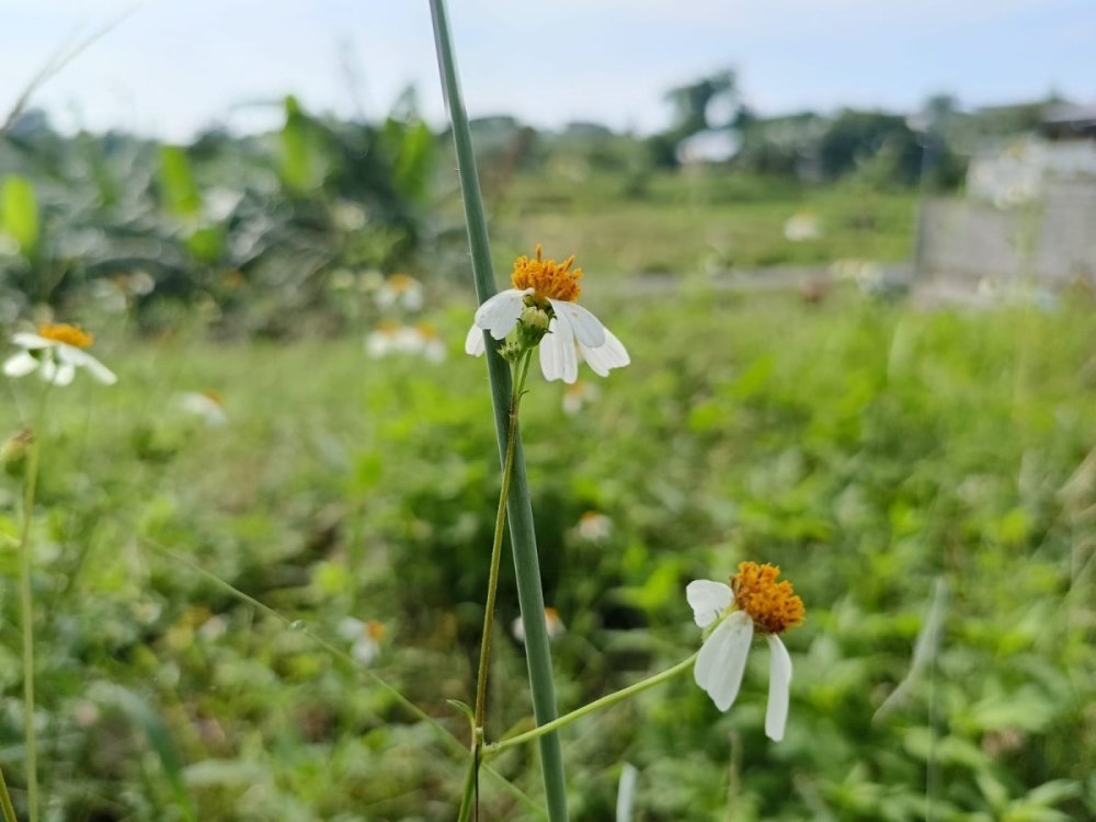 WhatsApp Image 2025-02-22 at 12.43.08.jpeg