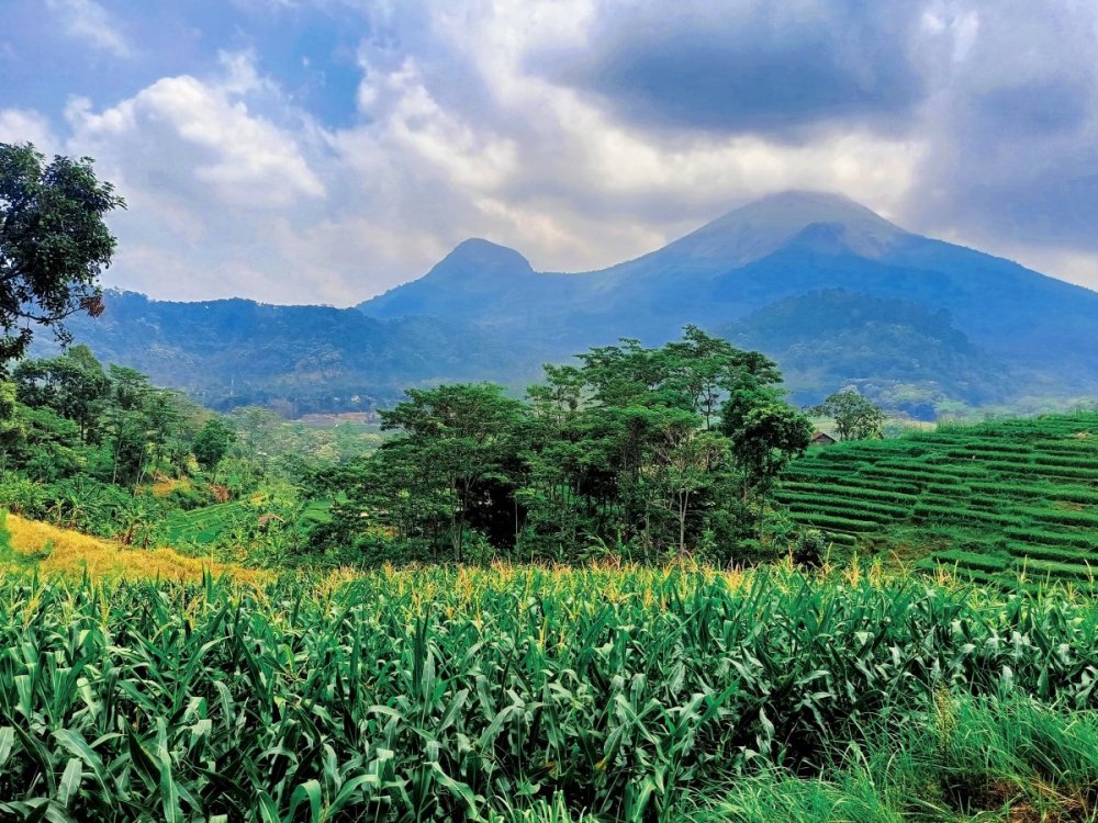 WhatsApp Image 2024-10-24 at 16.12.27 (1).jpeg