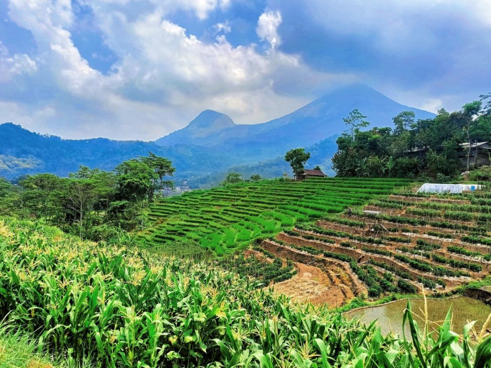 WhatsApp Image 2024-10-24 at 16.12.28.jpeg