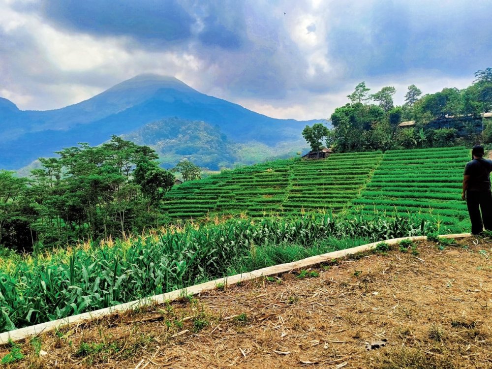 WhatsApp Image 2024-10-24 at 16.12.27 (3).jpeg