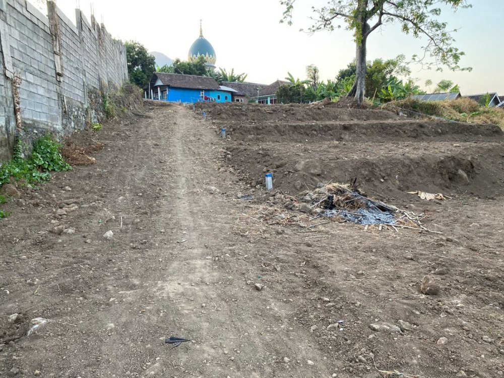 WhatsApp Image 2025-02-20 at 14.06.54.jpeg