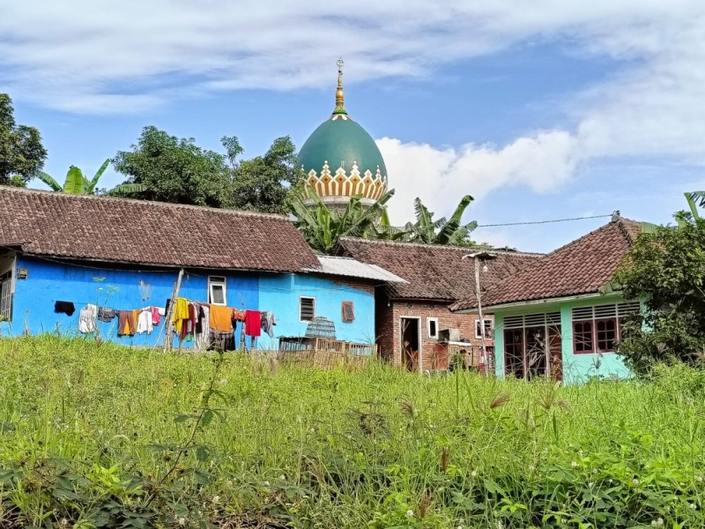 WhatsApp Image 2025-02-22 at 12.43.10 (1).jpeg