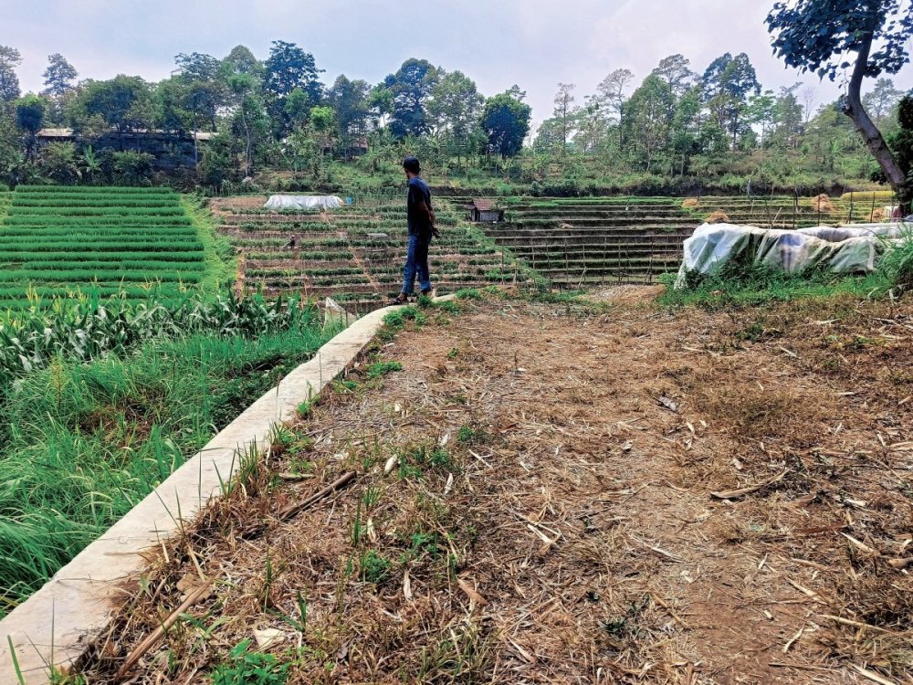 WhatsApp Image 2024-10-24 at 16.12.25.jpeg