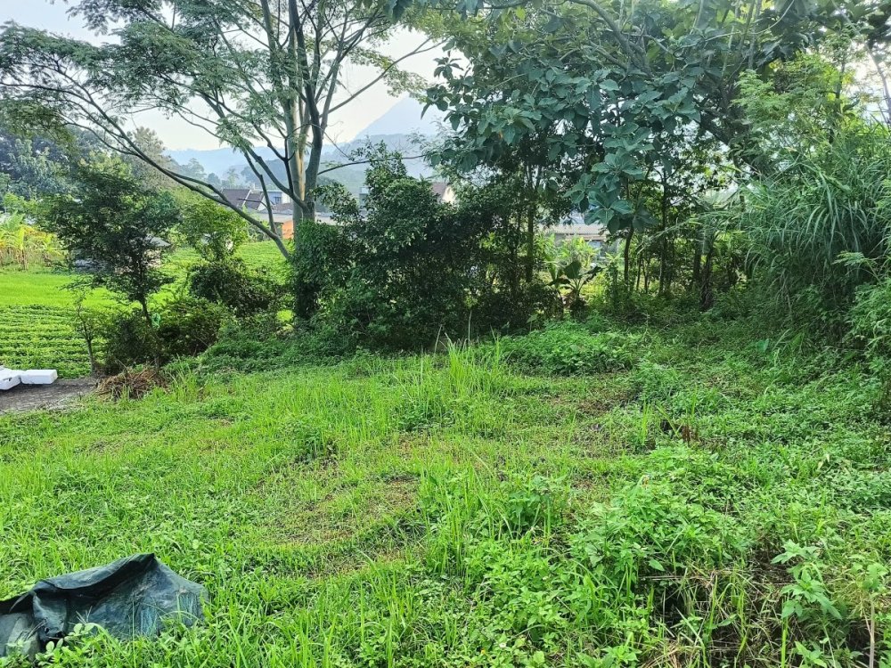 WhatsApp Image 2024-05-06 at 06.56.32 - Copy.jpeg