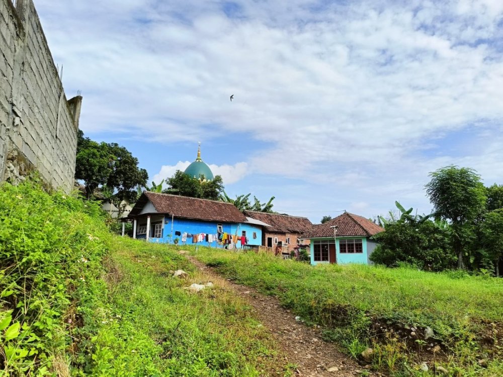 WhatsApp Image 2025-02-22 at 12.43.13.jpeg