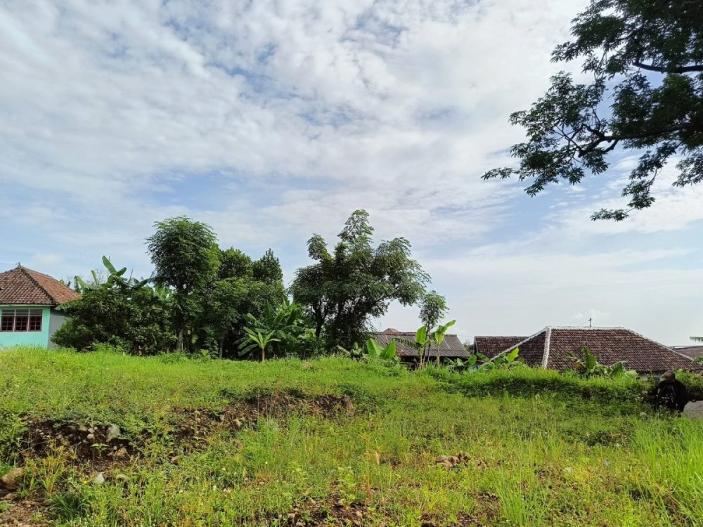 WhatsApp Image 2025-02-22 at 12.43.14.jpeg