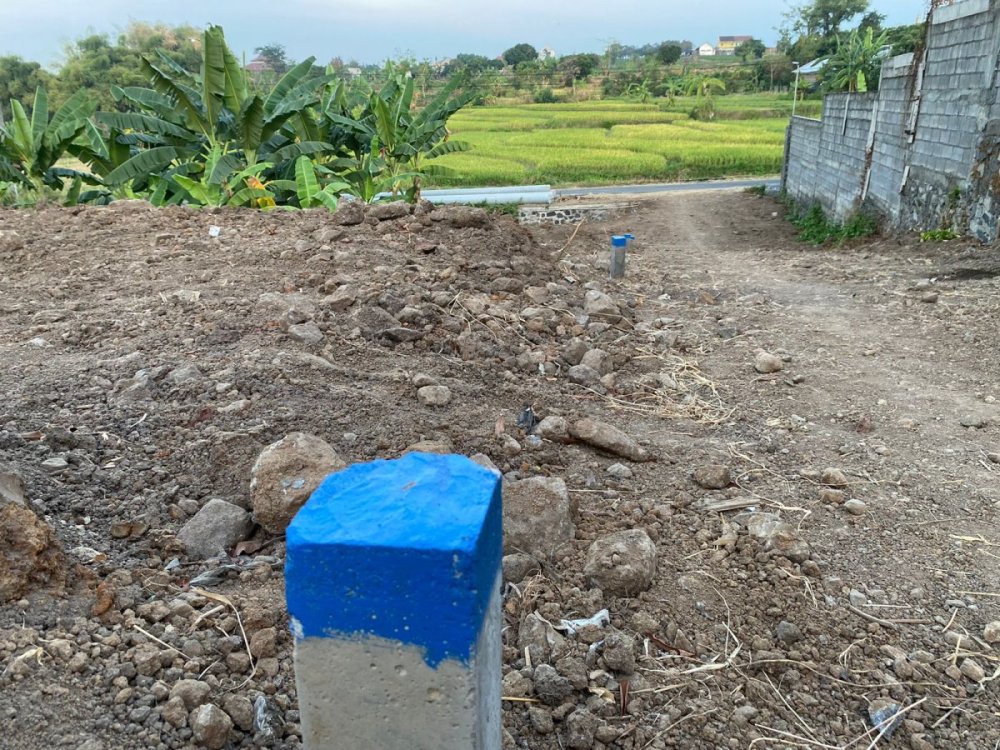 WhatsApp Image 2025-02-20 at 14.07.09.jpeg