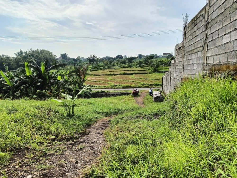 WhatsApp Image 2025-02-22 at 12.43.12.jpeg