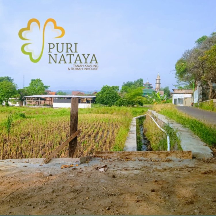 WhatsApp Image 2025-04-22 at 20.45.49 (1).jpeg