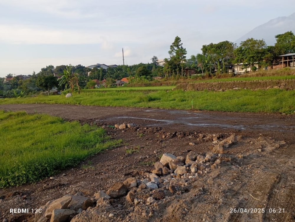 WhatsApp Image 2025-04-26 at 06.38.28.jpeg