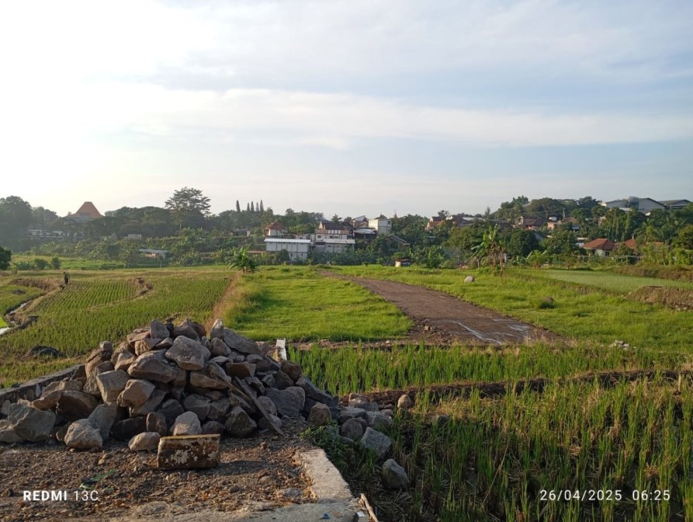 WhatsApp Image 2025-04-26 at 06.38.25.jpeg