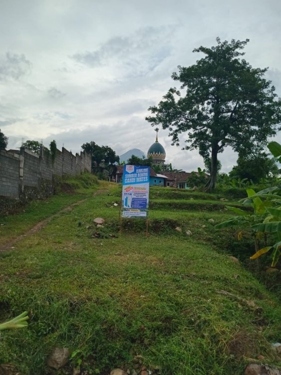 WhatsApp Image 2025-02-20 at 14.07.11.jpeg