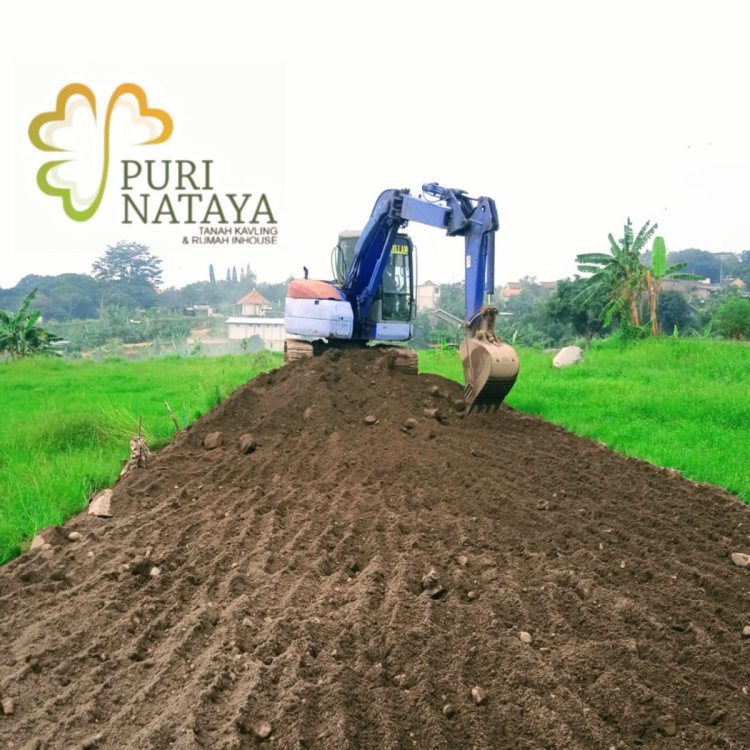 WhatsApp Image 2025-04-22 at 20.45.49 (2).jpeg