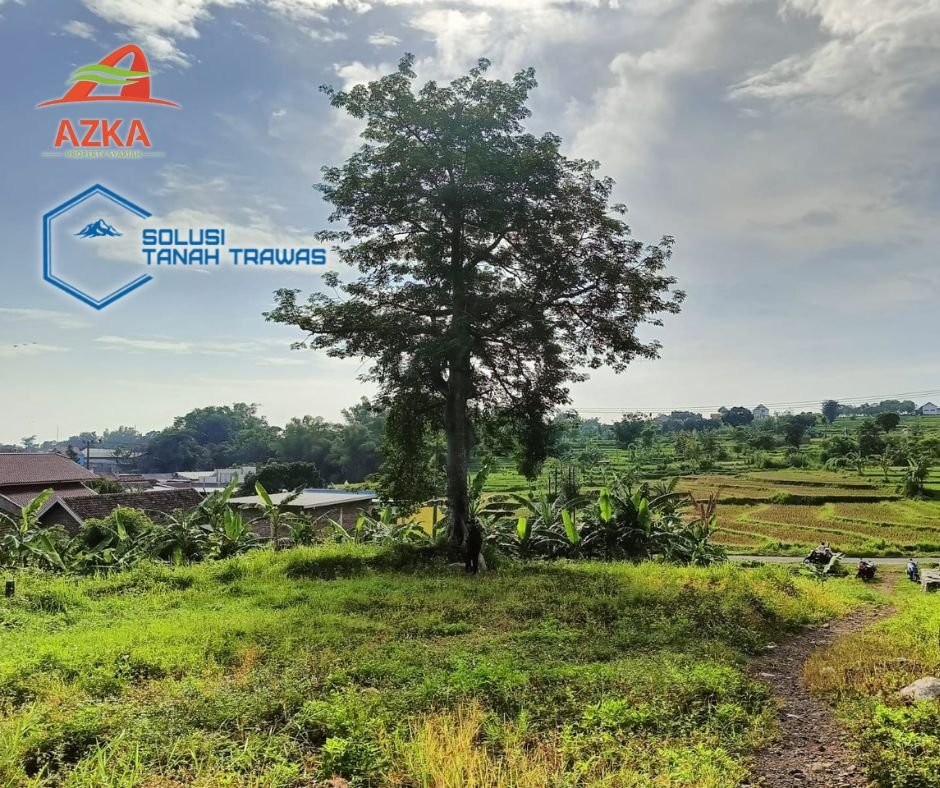 🏡 Mau Rumah Di Prigen? Mulai Dari Tanah Sendiri!