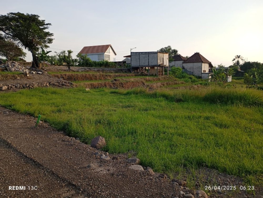 WhatsApp Image 2025-04-26 at 06.38.27.jpeg