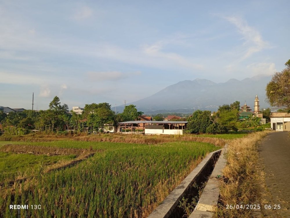 WhatsApp Image 2025-04-26 at 06.38.25 (1).jpeg