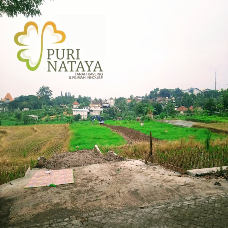 WhatsApp Image 2025-04-22 at 20.45.50.jpeg