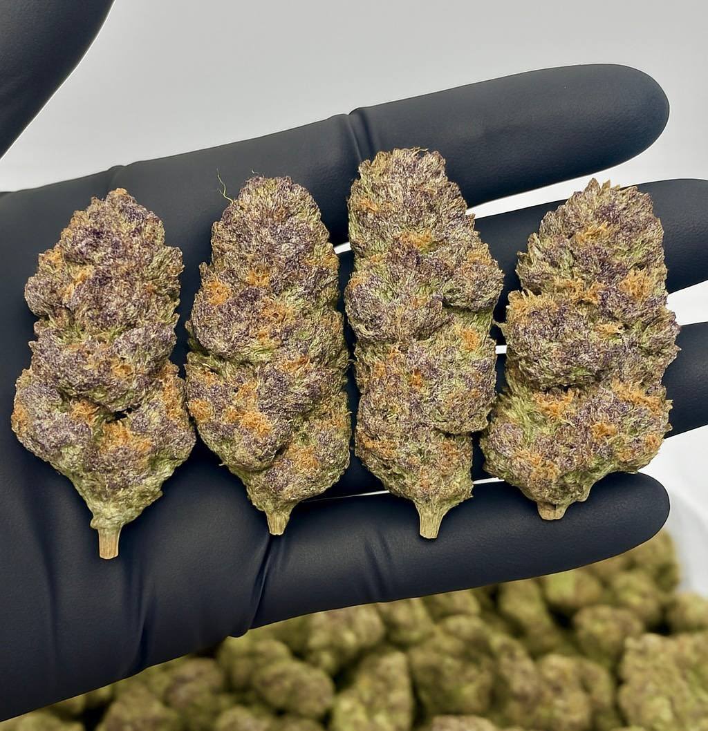 Buy 99% GBL gamma-butyrolactone GBL, GHB, BDO Alloy Wheel Cleaner Suppliers