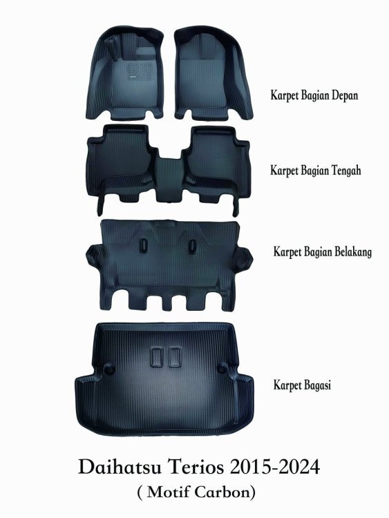 TERIOS2015-2024 carbon .jpg