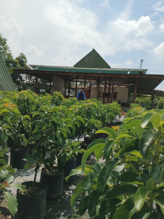 WhatsApp Image 2025-11-12 at 20.53.46.jpeg