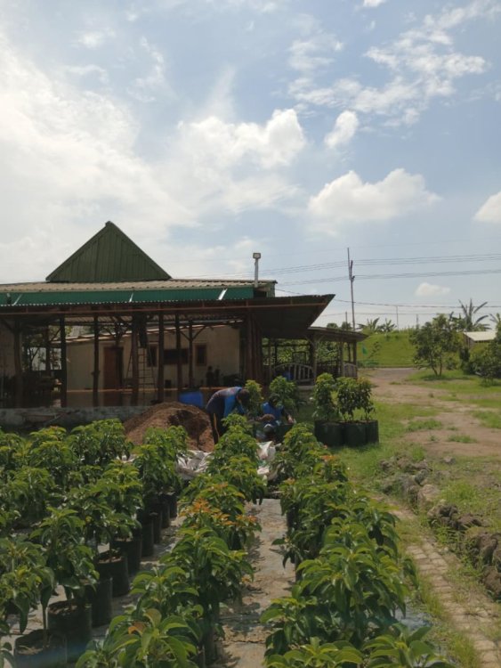 WhatsApp Image 2025-11-12 at 20.53.47.jpeg