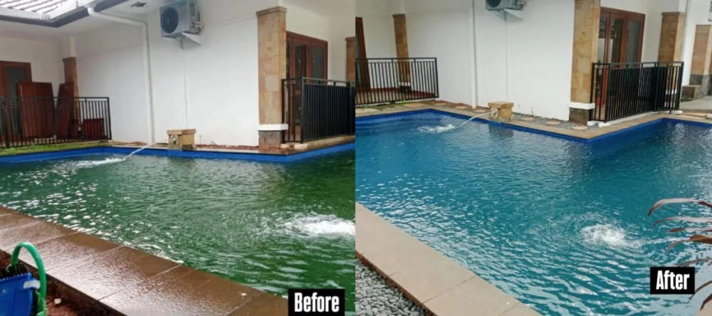 Jasa-Perawatan-Kolam-Renang-Alami-.jpg