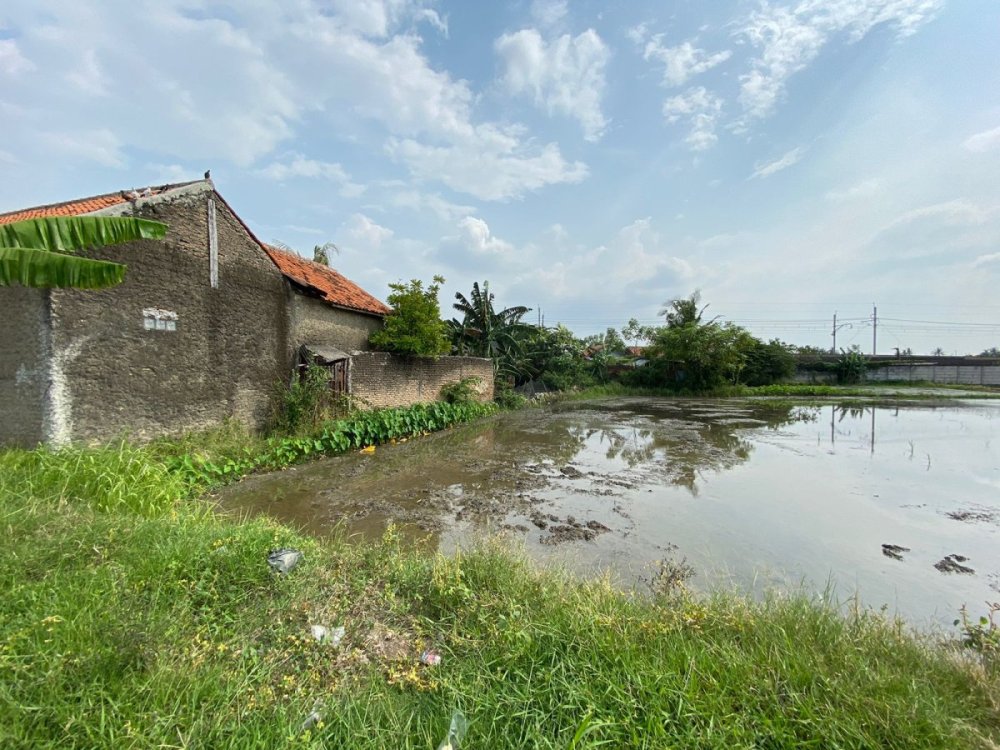 WhatsApp Image 2026-01-19 at 18.59.34.jpeg