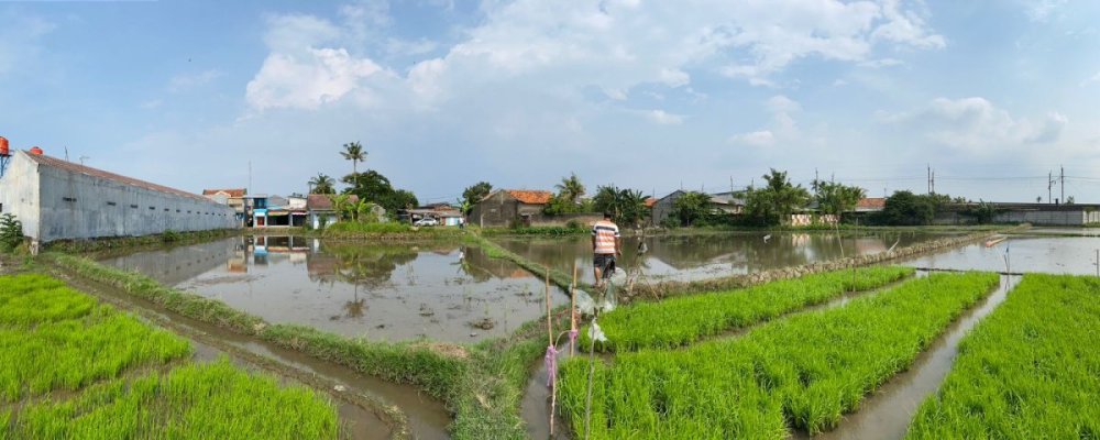 WhatsApp Image 2026-01-19 at 18.59.33 (2).jpeg