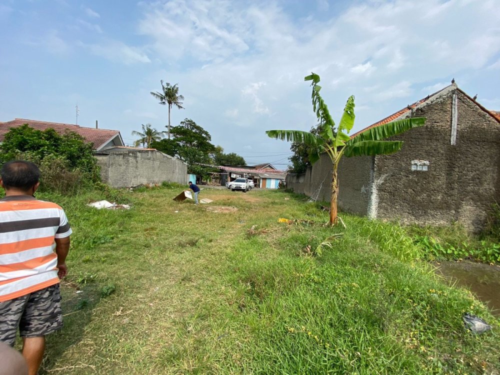 WhatsApp Image 2026-01-19 at 18.59.33.jpeg