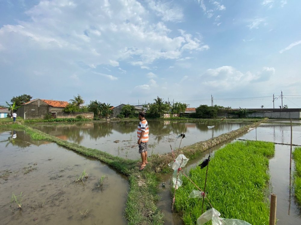 WhatsApp Image 2026-01-19 at 18.59.32.jpeg