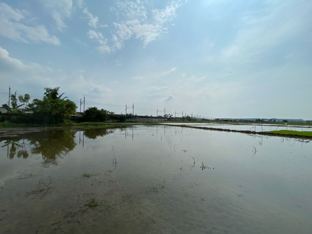 WhatsApp Image 2026-01-19 at 18.59.34 (1).jpeg