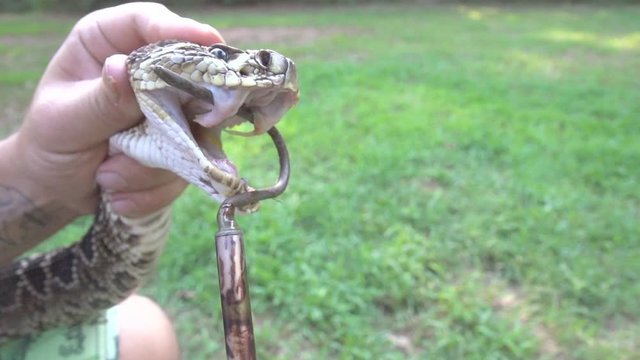 Order DMT Vape Pens and Carts Online