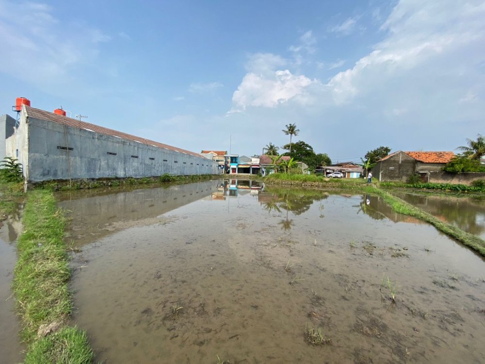 WhatsApp Image 2026-01-19 at 18.59.32 (1).jpeg