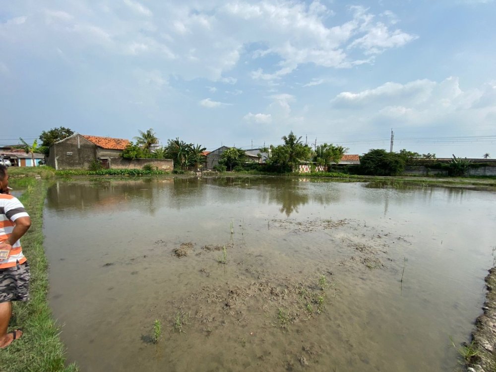 WhatsApp Image 2026-01-19 at 18.59.33 (1).jpeg