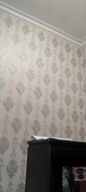 IMG_20230605_164406 (1).jpg