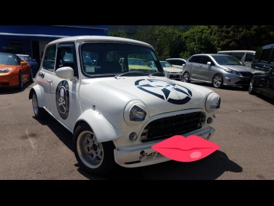 Mini,路華 Rover,1995,WHITE 白色,4,