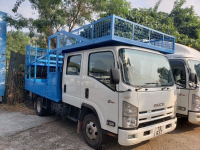 Isuzu,五十鈴 Isuzu,5.5