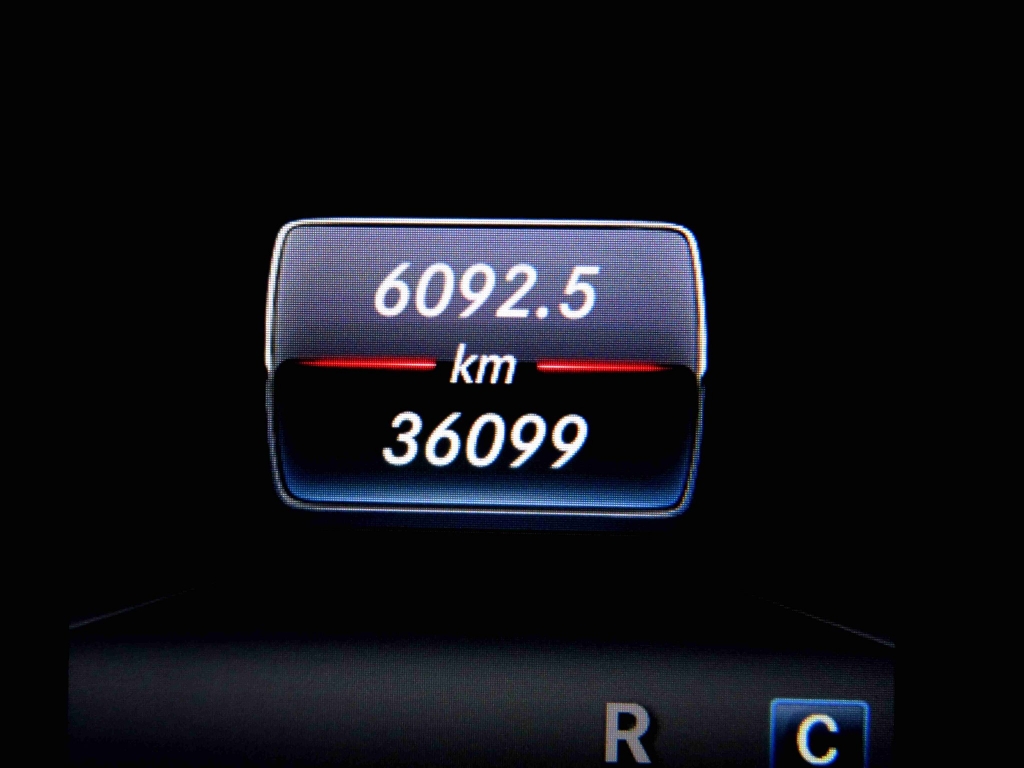 271243160_1294227441045643_2073236723357014490_n.jpg