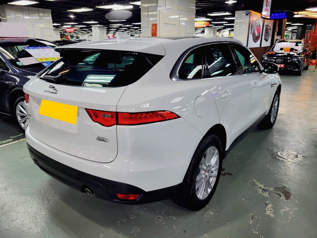 WhatsApp Image 2023-02-03 at 5.22.51 PM (1).jpeg