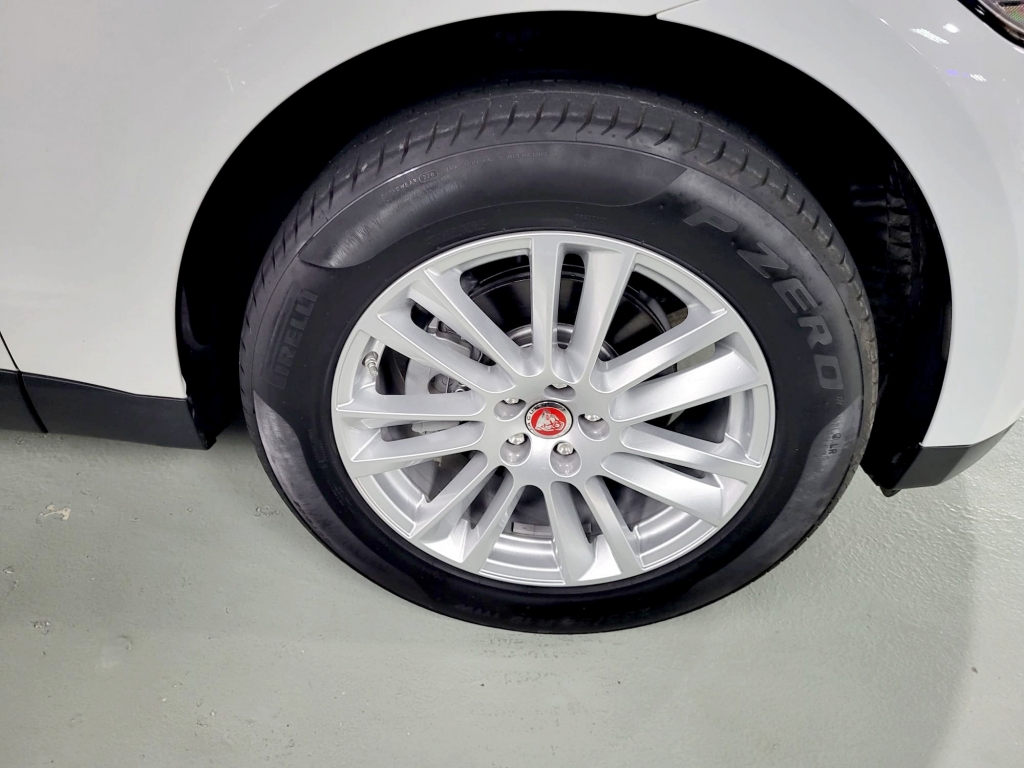 WhatsApp Image 2023-02-03 at 5.22.52 PM (1).jpeg