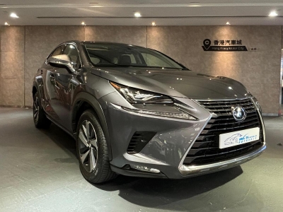 NX300,凌志 Lexus,2018,GREY 灰色,5